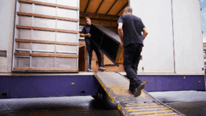 Junk Removal