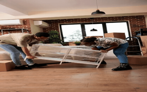 Furniture Removal