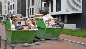 Junk Removal